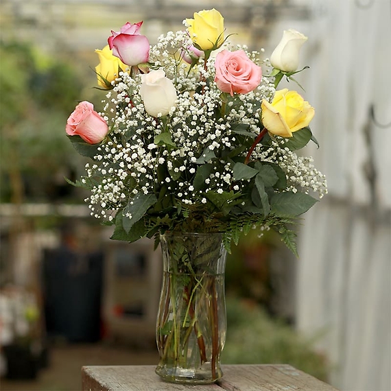 Assorted Color Roses