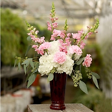 Hydrangea and Pink Highlights